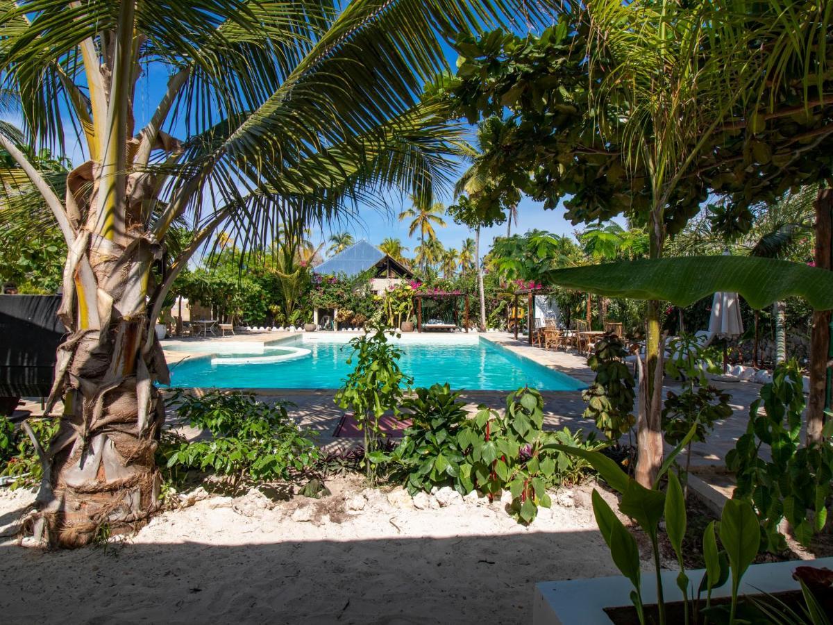 Tropical Oasis Boutique Hotel Michamvi Exteriör bild