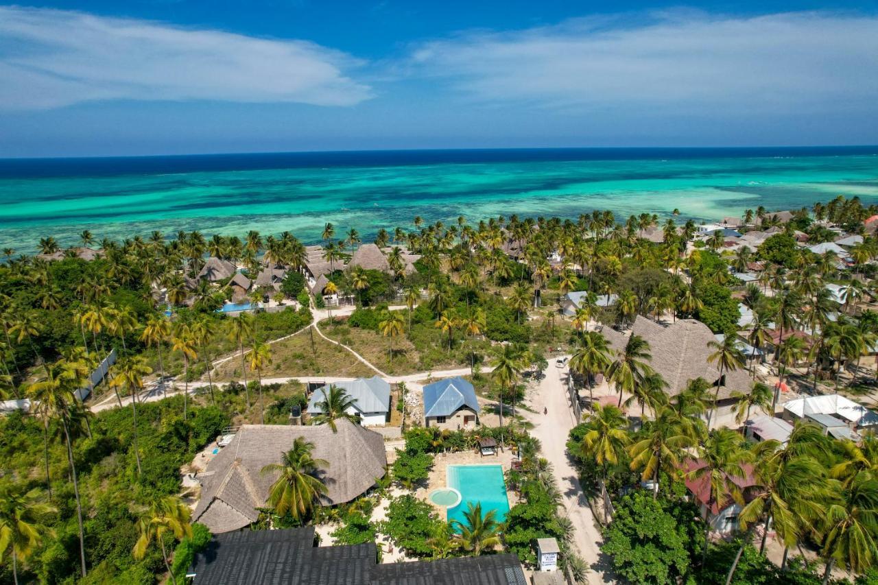 Tropical Oasis Boutique Hotel Michamvi Exteriör bild