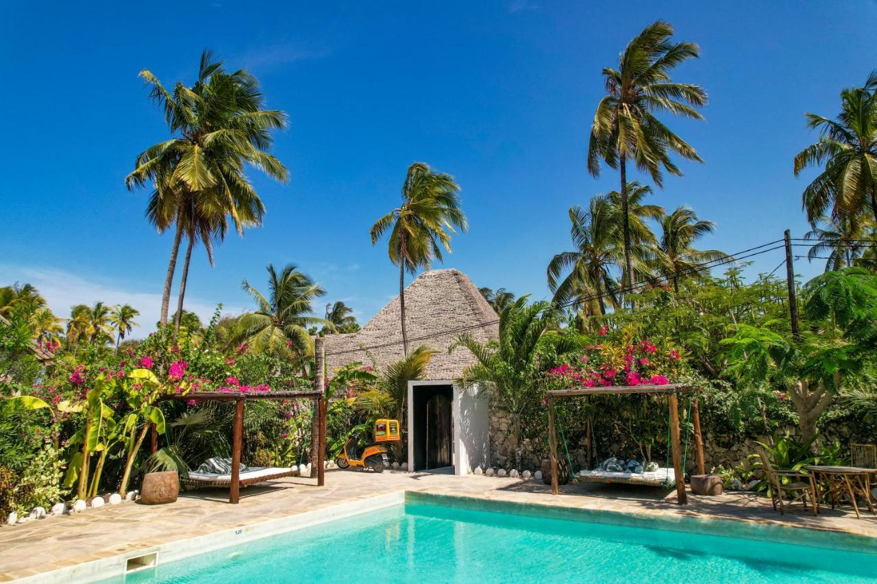 Tropical Oasis Boutique Hotel Michamvi Exteriör bild