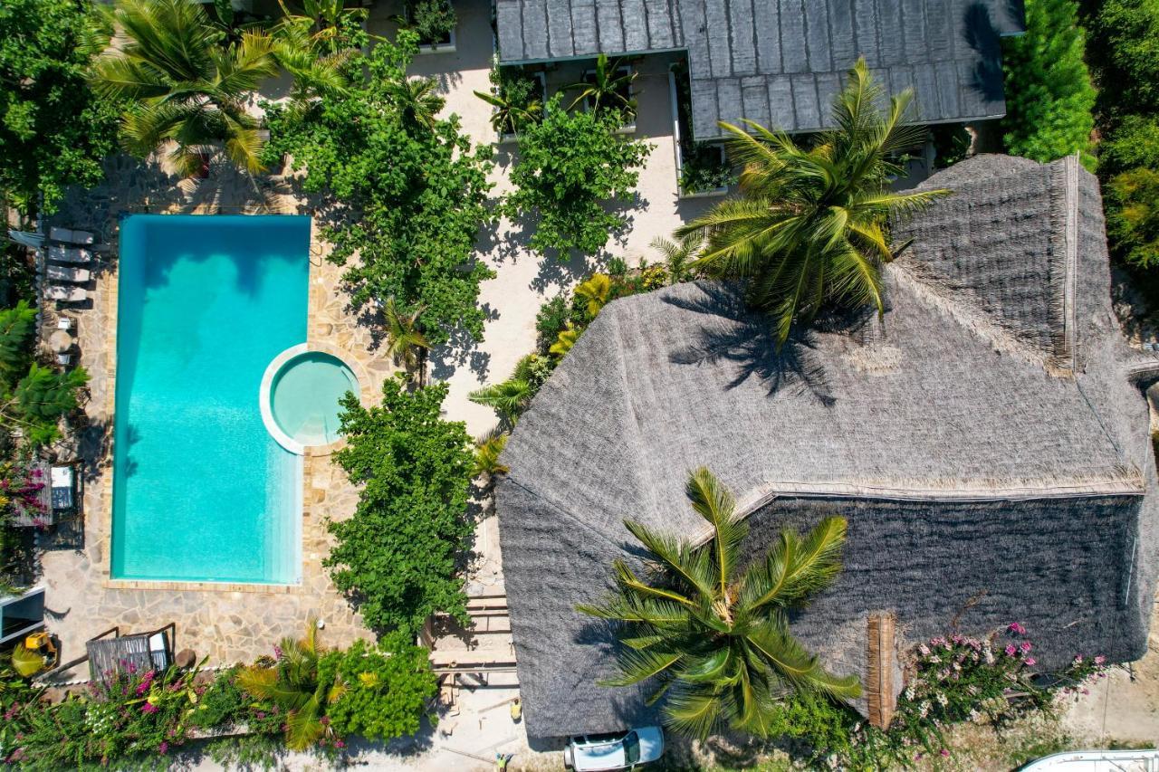 Tropical Oasis Boutique Hotel Michamvi Exteriör bild